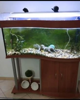 Aquario ad onda 200 litri