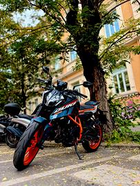 DUKE 390 2024
