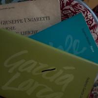 Poesie e prose