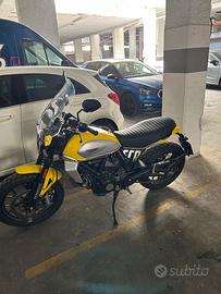 DUCATI SCRAMBLER 800 ICON Y 2025 STD