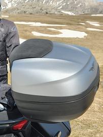  bauletto Moto Guzzi 37 Lt