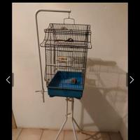 Gabbietta per uccellini