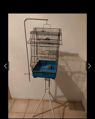 Gabbietta per uccellini