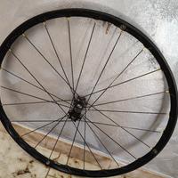 ruota anteriore  alchemist