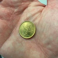 Moneta 20 lire