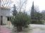 Immagine 2