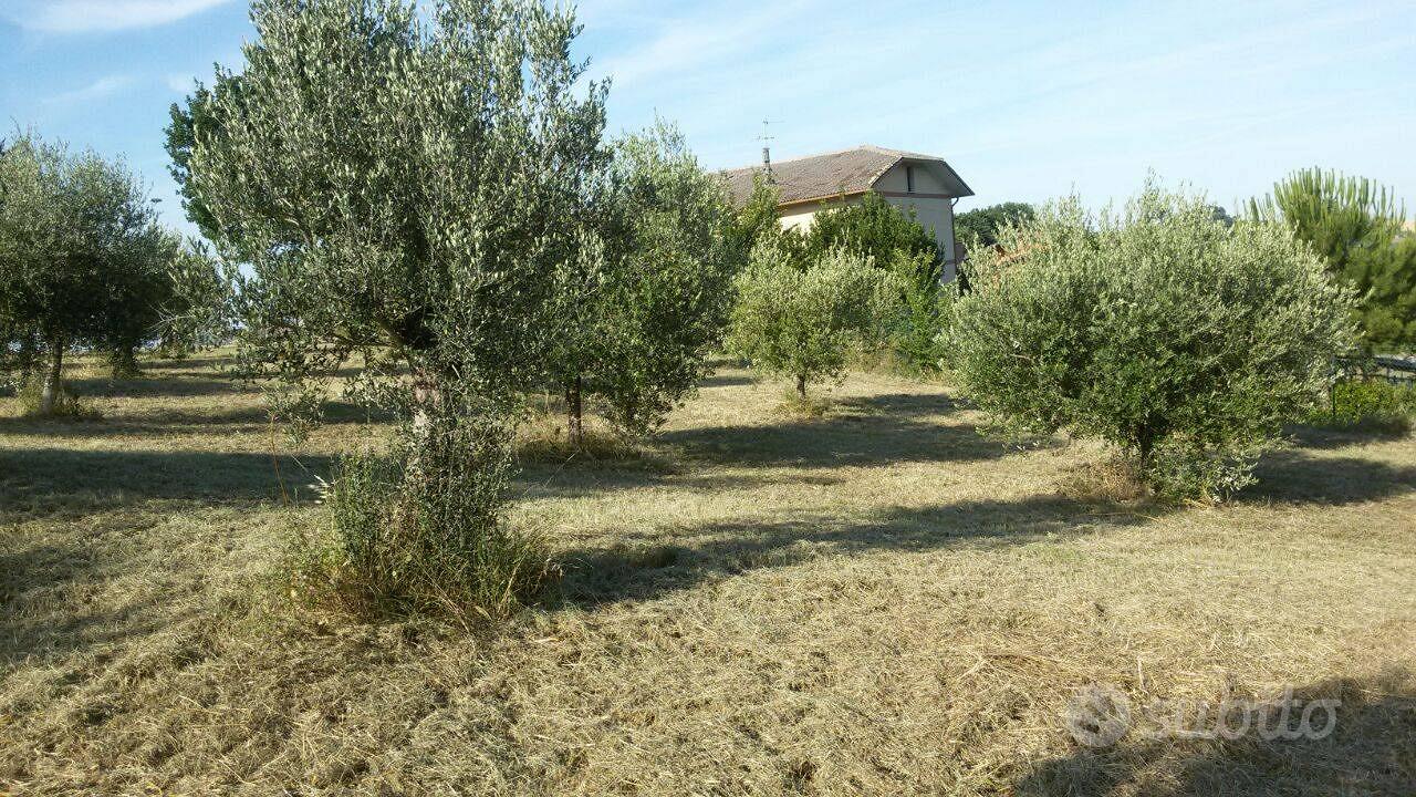 Rustico - Campli - Vista 3