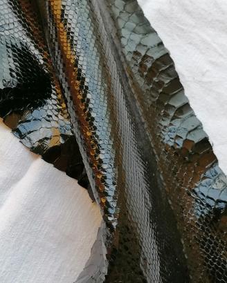 pelle di serpente 