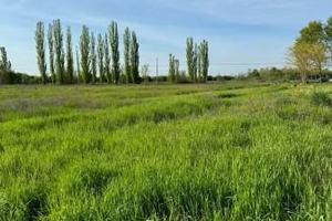 Terreno di 16000 m² a Castelfranco Emilia