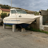 Saver Manta Fischer 21 YamahaF 115