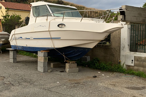 Saver Manta Fischer 21 YamahaF 115