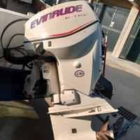 evinrude 115 e tek 