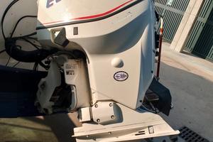 evinrude 115 e tek 