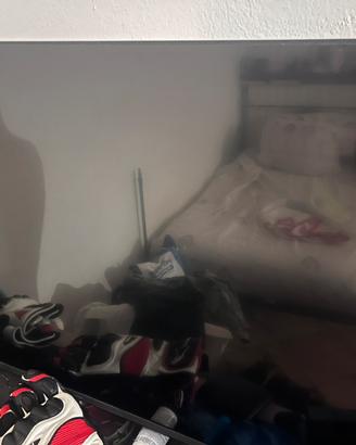 Tv hisense + casee bosse