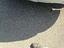 Immagine 21