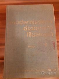 Dizionario illustrato e grammatica spagnola