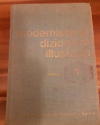 Dizionario illustrato e grammatica spagnola