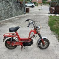 Rizzato mini califfo