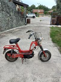 Rizzato mini califfo