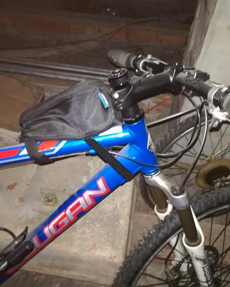 MTB lee cougan
