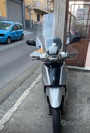 Motorino 50