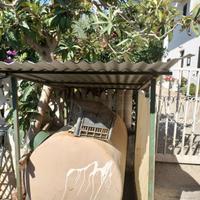 Contenitore gasolio 500 litri