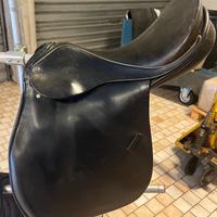 Sella cavalli arabi da Completo Theo Sommer