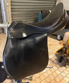 Sella cavalli arabi da Completo Theo Sommer