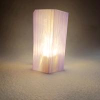 Lampada decorativa stampata in 3D con luce LED inc