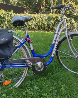 Bicicletta Tecnobike