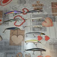 lotto spigola serra barracuda 