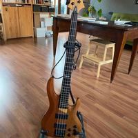 Basso 4 corde ESP B-204 + Ampli PEAVEY
