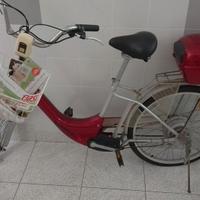 Bici elettrica