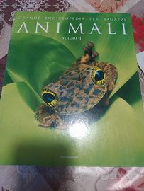 libro animali