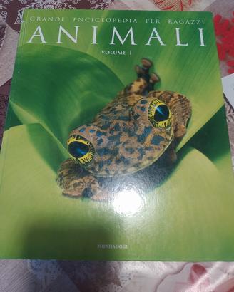 libro animali