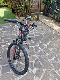 Mountain bike