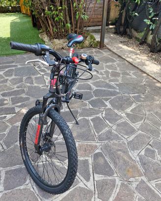 Mountain bike