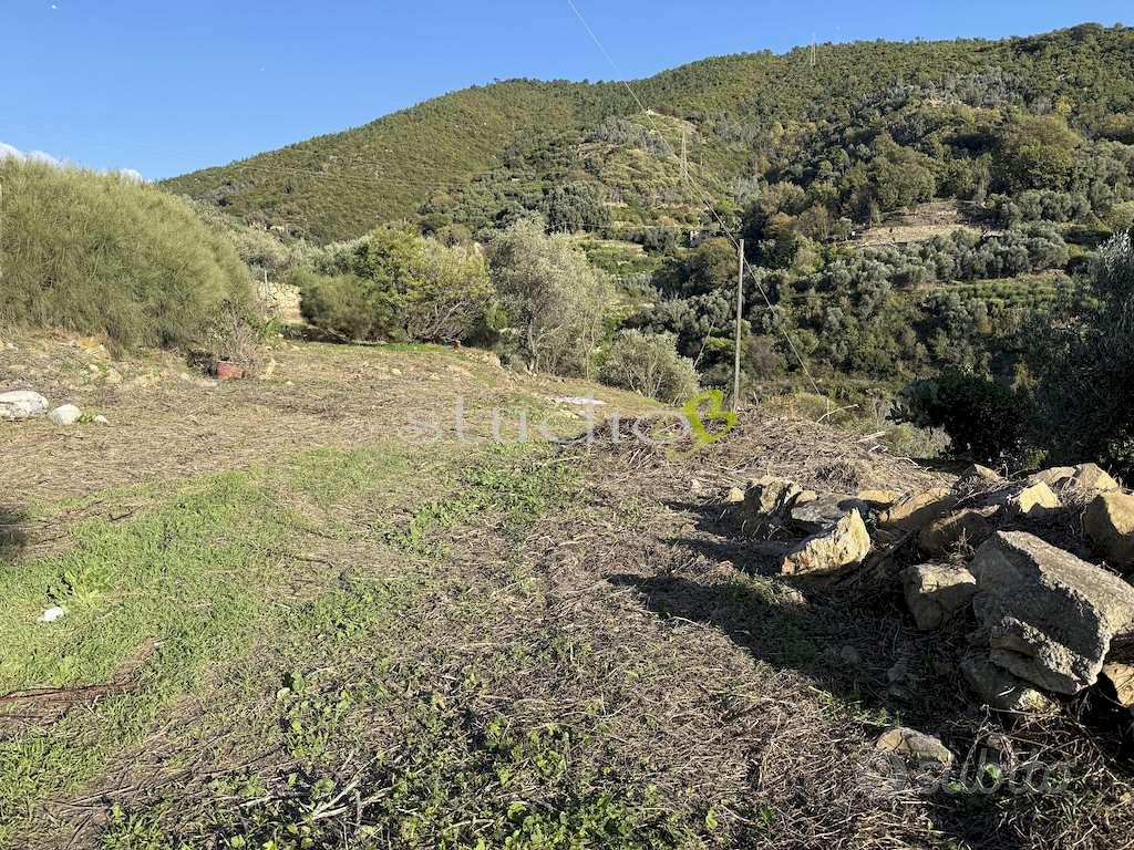 Terreno Edificabile a Bordighera - Vista 4