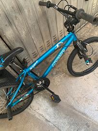 Bici bmx