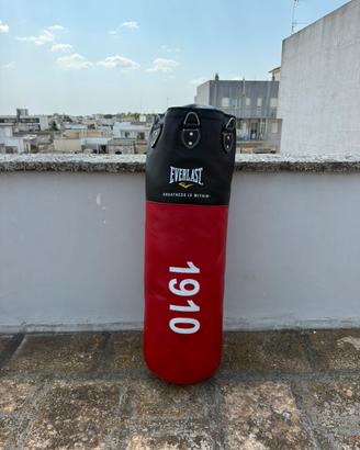 Sacco da box