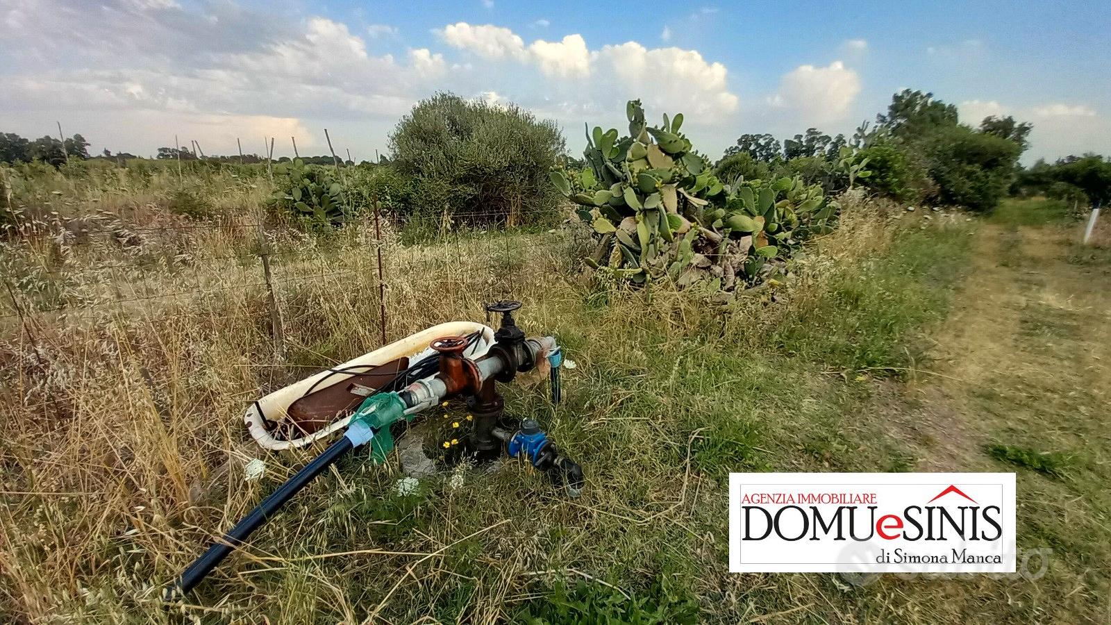 Terreno agricolo milis - Vista 5