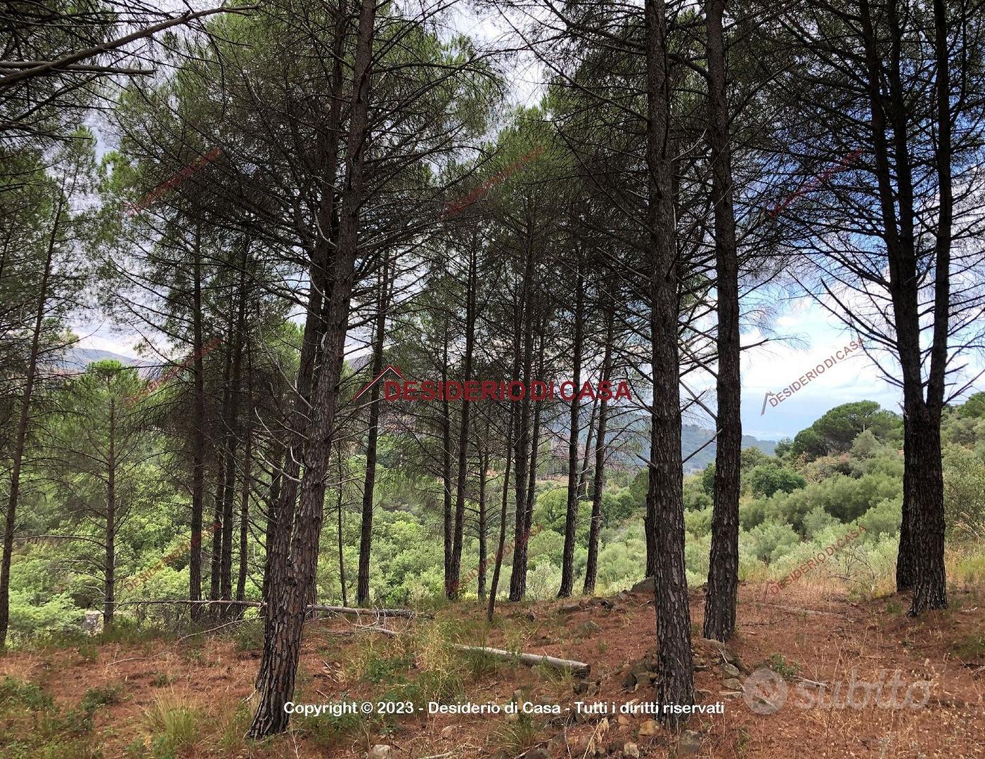 Terreno, Cefalù. - Vista 3
