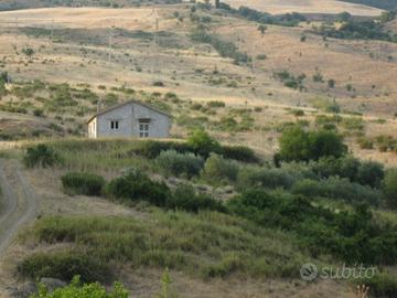 Rustico e terreni