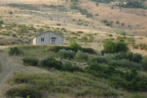 Rustico e terreni