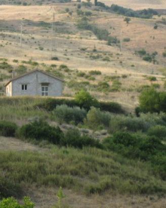 Rustico e terreni