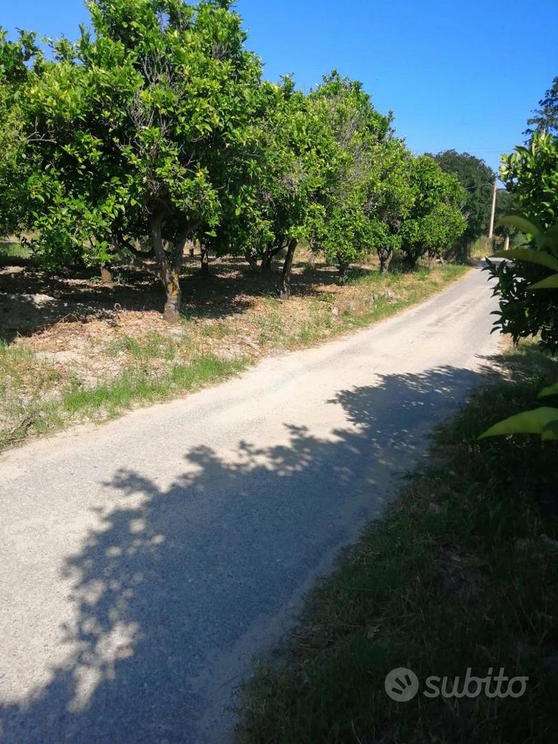 TER. AGRICOLO A SQUILLACE - Vista 4
