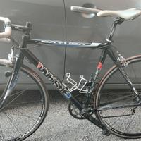 Bici da corsa Whistle Kayuga