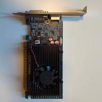 Scheda video NVIDIA GT 710 1GB DDR3 low profile PC
