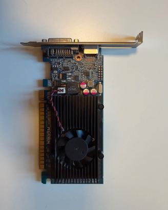 Scheda video NVIDIA GT 710 1GB DDR3 low profile PC