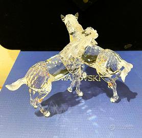 Swarovski, PULEDRI, FOALS